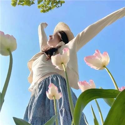 伴游女王 焦点图