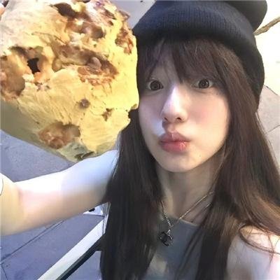 最后的维米尔 海报